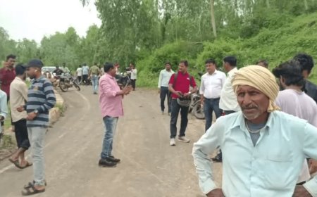 उमरिया और पन्ना में मूसलाधार बारिश से नदियां उफान पर, उमड़ार नदी के पुल के ऊपर से बहा पानी