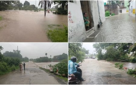 सीहोर में मूसलाधार बारिश से उफान पर नदी-नाले, श्यामपुर में सबसे ज्यादा 8 इंच से अधिक वर्षा