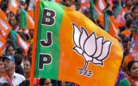 Gen-Z और Gen-Alpha को साधने के लिए बीजेपी का नया प्लान, सोशल मीडिया इन्फ्लुएंसर्स और गेमर्स की लेगी मदद