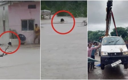 राजगढ़ में उफनते नाले में बही इको कार, 7 लोगों के शव बरामद और रेस्क्यू जारी