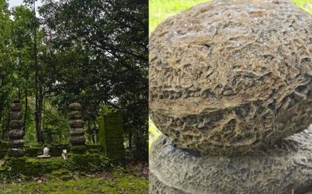 मध्य प्रदेश के डिंडौरी में आदिवासियों द्वारा पूजा जाने वाला पत्थर निकला 6.5 करोड़ साल पुराना कोरल फॉसिल