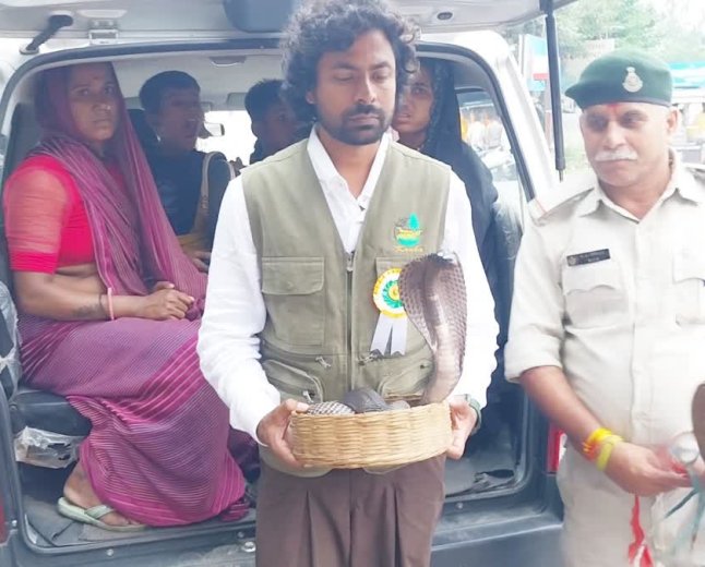 नागपंचमी पर वन विभाग की बड़ी कार्रवाई, सपेरों के कब्जे से 5 फीट के कोबरा समेत 8 खतरनाक सांप बरामद