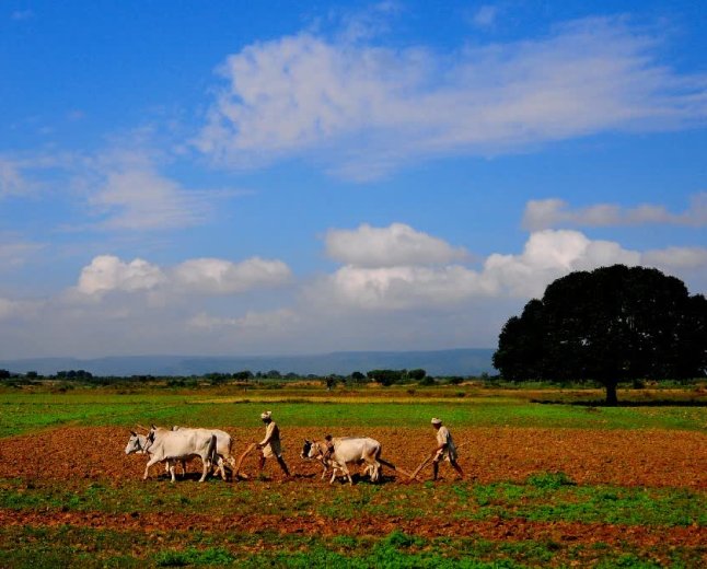 मालवा में कम बारिश और गहराते जल संकट पर पर्यावरणविद् पद्मभूषण डॉ. अनिल प्रकाश जोशी की चेतावनी