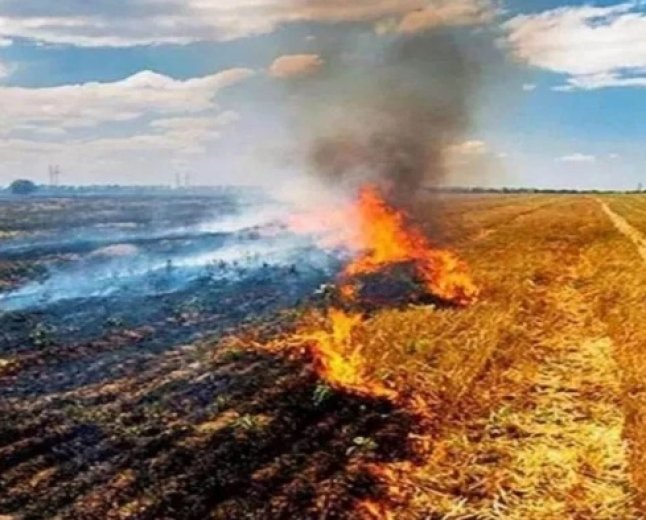 मध्य प्रदेश में पराली जलाने के मामलों में भारी उछाल, अप्रैल-मई 2026 में देश में सबसे ज्यादा 36,000 से अधिक घटनाएं दर्ज