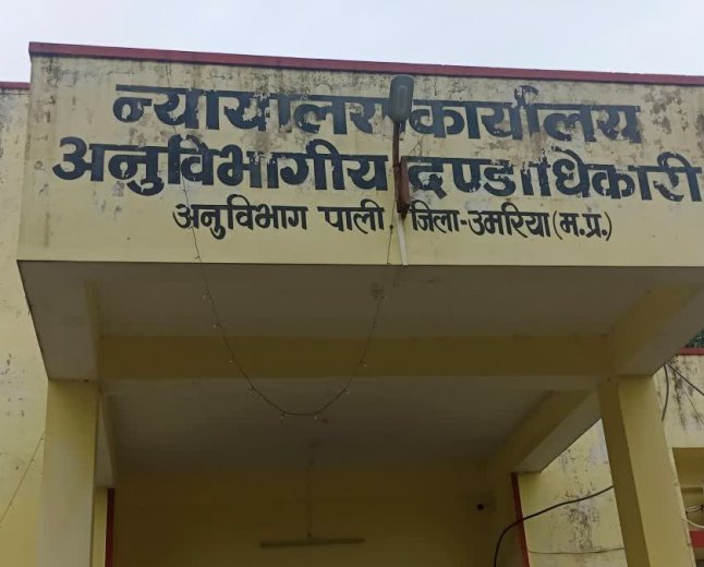 पाली तहसील में अनुपस्थित पटवारियों और कर्मचारियों पर बड़ी कार्रवाई, एसडीएम मीनाक्षी बंजारे ने जारी किया आदेश