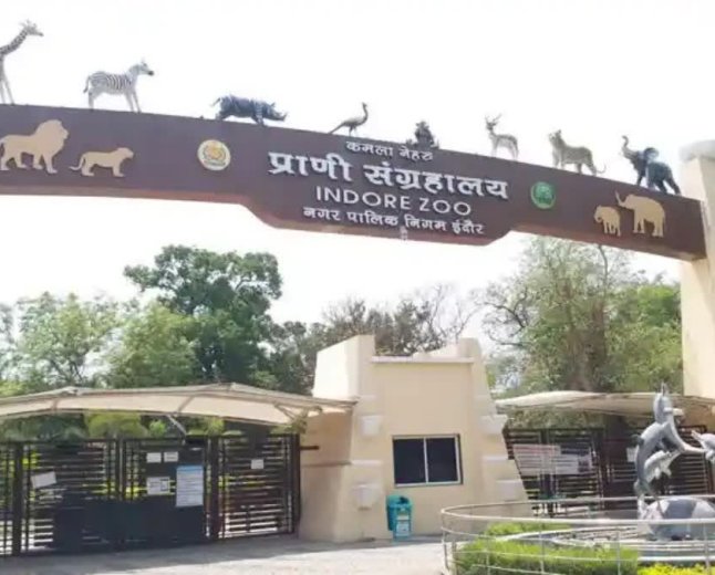 देश के बाकी चिड़ियाघरों से क्यों अलग है इंदौर जू? 169 प्रजातियों के वन्य जीवों का बना बड़ा ब्रीडिंग सेंटर