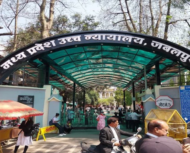 पेड़ों की कटाई और पर्यावरण असंतुलन पर HC सख्त, नीमच के याचिकाकर्ता को मिली अनोखी सजा