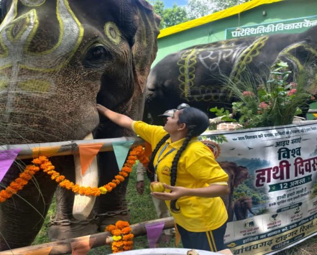 विश्व हाथी दिवस पर उमरिया में हाथियों का विशेष आयोजन, राम और सूर्या बने बच्चों के आकर्षण का केंद्र