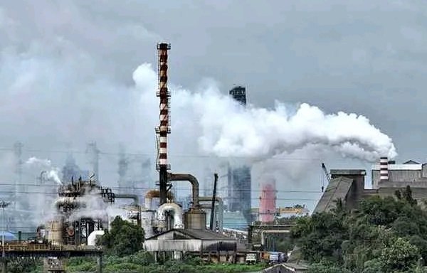 जंगलों के अलावा खेत भी निभा रहे हैं बड़ा रोल, सैटेलाइट डेटा से सामने आया कार्बन का गणित