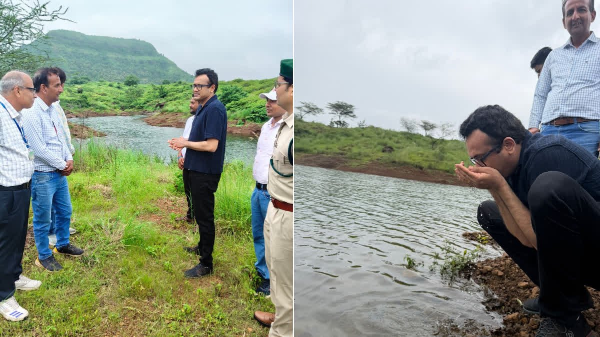 हार्टफुलनेस इंस्टीट्यूट के सघन वन प्रोजेक्ट पहुंचे कलेक्टर, 859 हेक्टेयर में हो रहा पौधारोपण