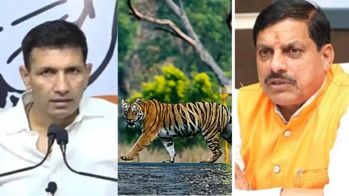 बांधवगढ़-अचानकमार टाइगर कॉरिडोर के पास कोयला खदानों पर सियासत; जीतू पटवारी ने सरकार को घेरा