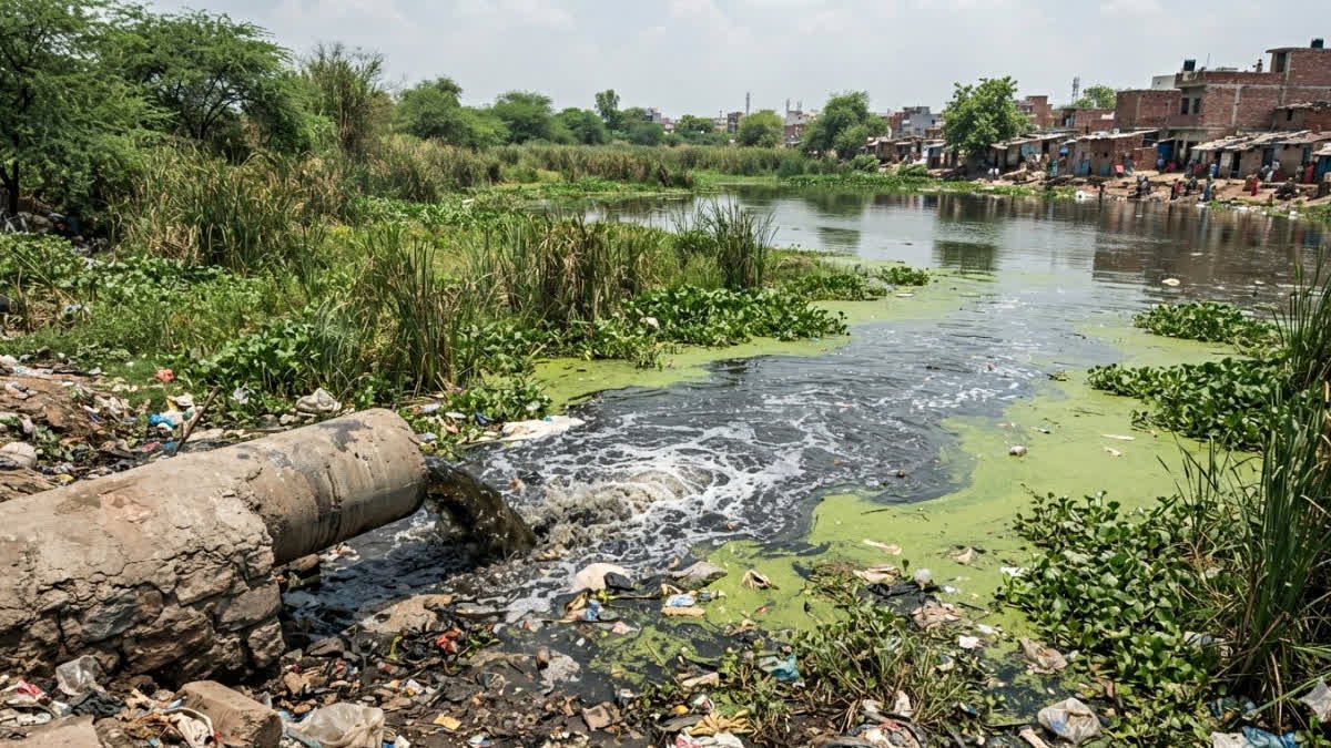 बड़ा और छोटा तालाब के 50 मीटर दायरे में अवैध निर्माण हटाने के आदेश, 3 महीने की तय हुई समयसीमा