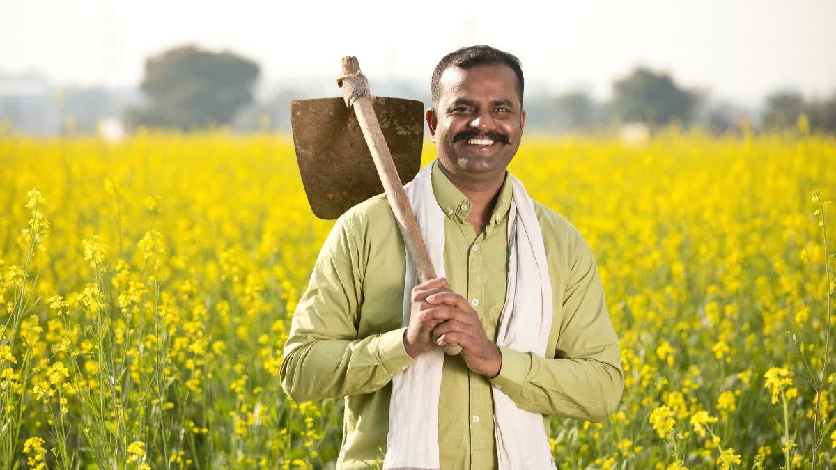 एमपी में धान, ज्वार और बाजरा की एमएसपी खरीदी के लिए पंजीयन शुरू; जानें अंतिम तिथि और प्रक्रिया