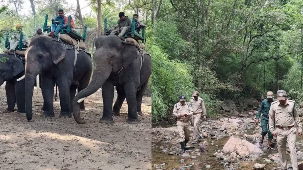 वन्यजीवों के बीच काम करने वाले 350 कर्मचारियों को मिला स्पेशल पैकेज; एंबुलेंस से लेकर बीमा तक की सुविधा