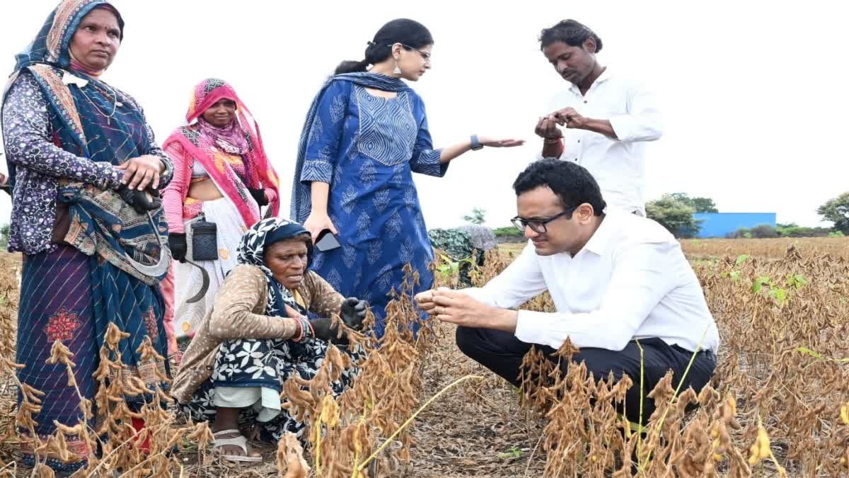 रतलाम कलेक्टर अजय कटेसरिया पहुंचे खेत; मजदूरों के साथ बैठकर समझी सोयाबीन कटाई की प्रोग्रेस