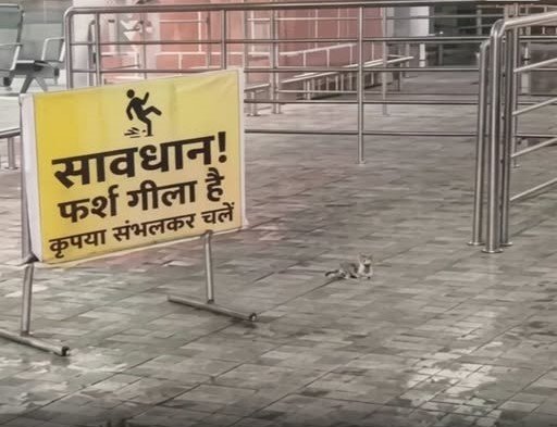 450 करोड़ की लागत से बने जबलपुर एयरपोर्ट के नए टर्मिनल की खुली पोल, छत से टपक रहा पानी और फर्श पर भरा जलभराव