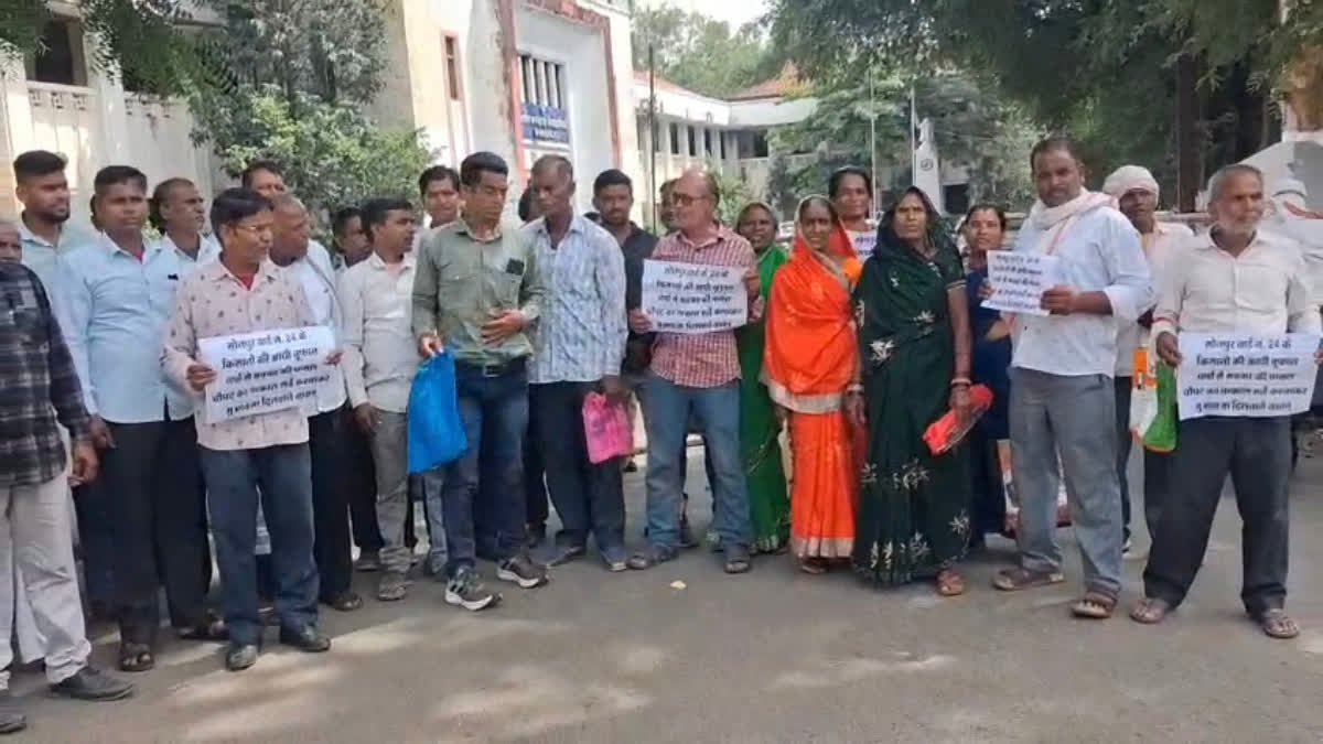 छिंदवाड़ा और चौरई में मक्के की फसल को भारी नुकसान; पीएम फसल बीमा योजना से राहत की मांग