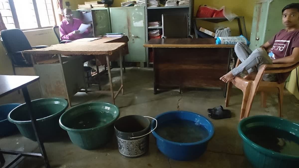 फाइलों की सुरक्षा के लिए तहसील कार्यालय में लगे प्लास्टिक के डिब्बे, डर के साए में काम कर रहे कर्मचारी