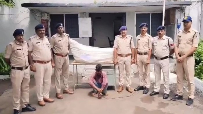 ऑपरेशन प्रहार के तहत बेड़िया पुलिस की बड़ी कार्रवाई, 12 किलो से अधिक गांजे के पौधे बरामद
