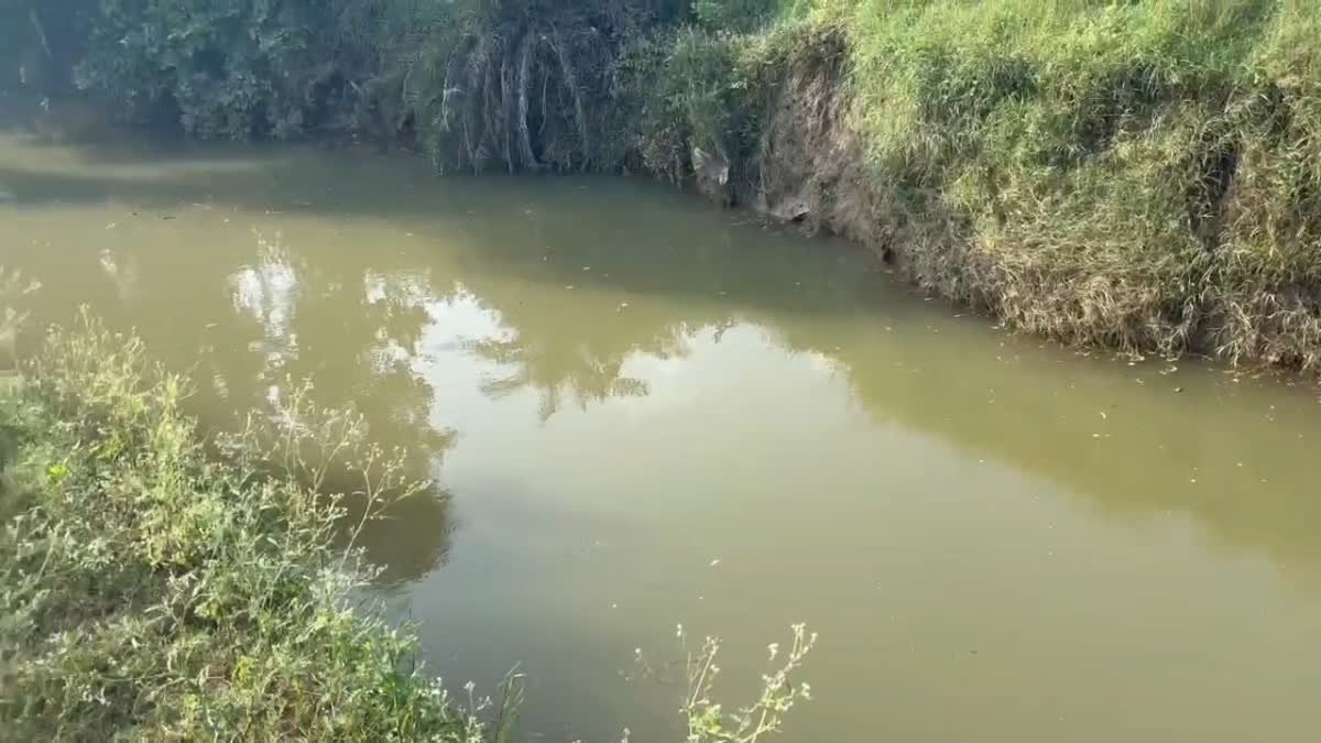 शिवपुरी के कोलारस में दर्दनाक हादसा, मोमोज खाने निकले दो मासूम बच्चों की नाले में डूबने से मौत