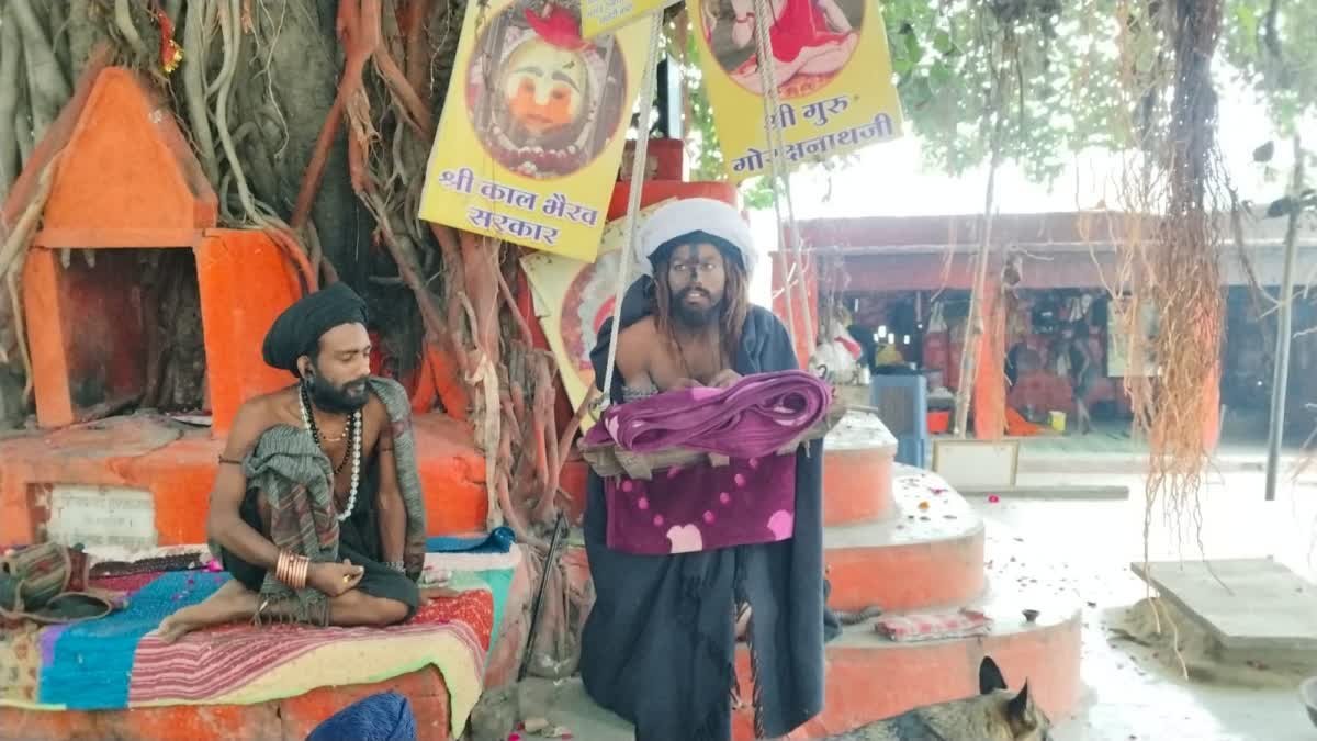 उज्जैन में लावारिस गोवंश समाधि भूमि की मांग, योगी विष्णु नाथ ने 15-20 दिन के लिए टाला अनशन