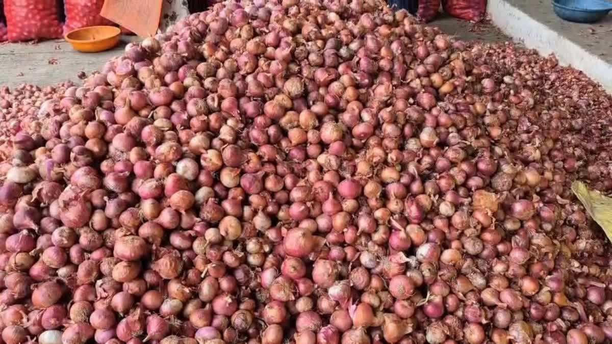 किसानों को नहीं मिल रहा प्याज की तेजी का पूरा लाभ, बिचौलियों की चांदी, खुदरा बाजार में दाम आसमान पर