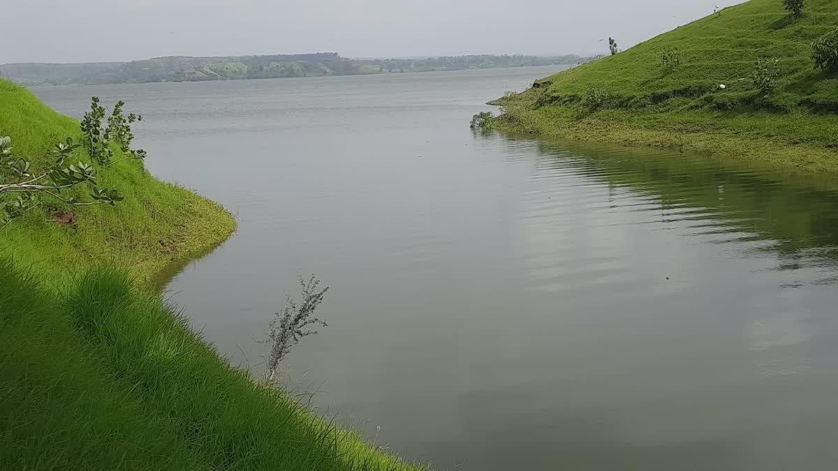 धोलावाड़ डैम के पानी पर रार! कलेक्टर ने रोका सिंचाई का पानी, सैलाना विधायक डोडियार ने दी आंदोलन की चेतावनी
