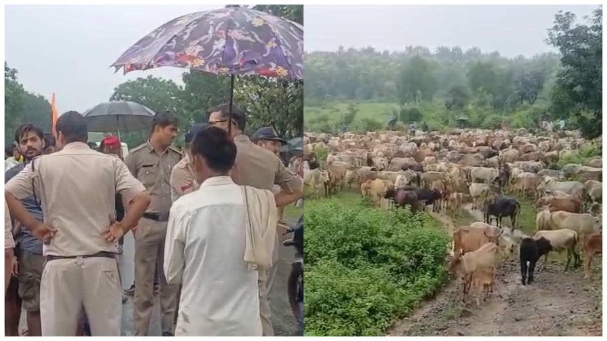 ब्यौहारी में जिला पंचायत सदस्य के नेतृत्व में किसानों ने घेरा प्रशासन, मांगें पूरी होने तक धरने की चेतावनी
