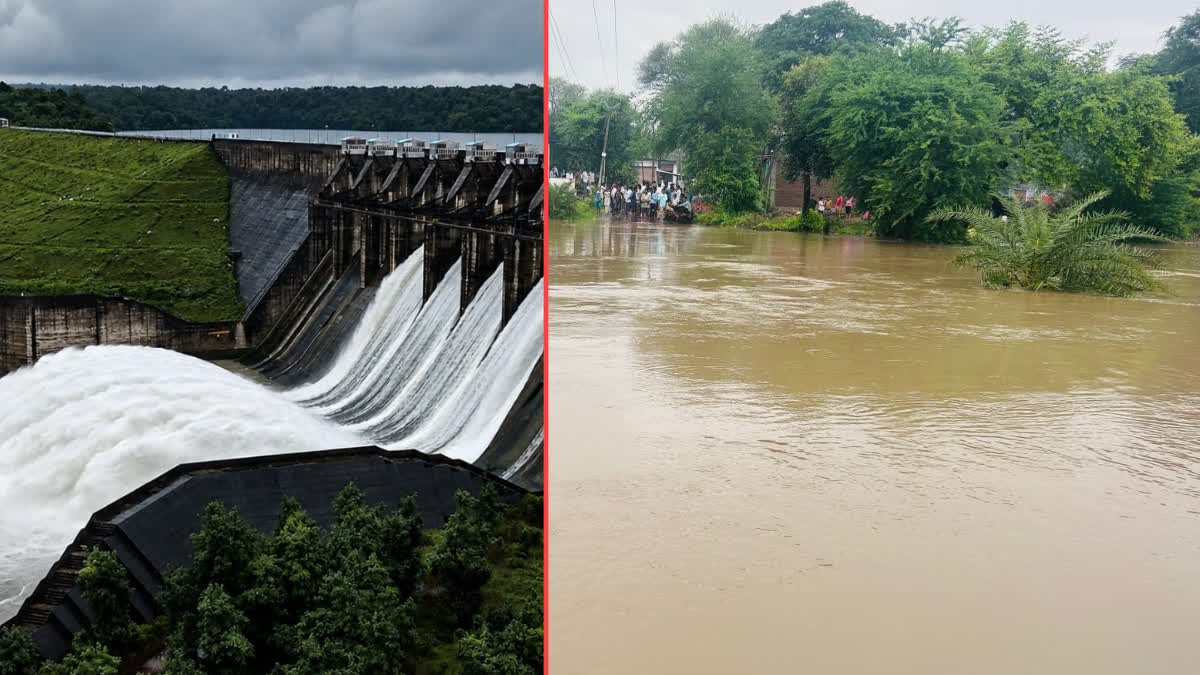 श्योपुर और विजयपुर में नदियां उफान पर, क्वारी और मोर डोंगरी नदी का बढ़ा जलस्तर