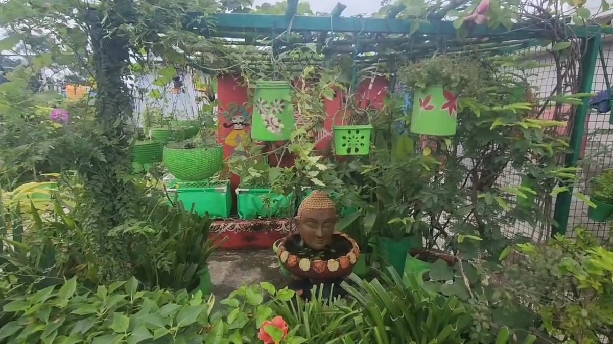 किचन वेस्ट से जैविक खाद और छत पर 500 पौधे; जानिए मुंबई गार्डनिंग कॉम्पिटिशन में टॉप-10 में शामिल ज्योति की कहानी