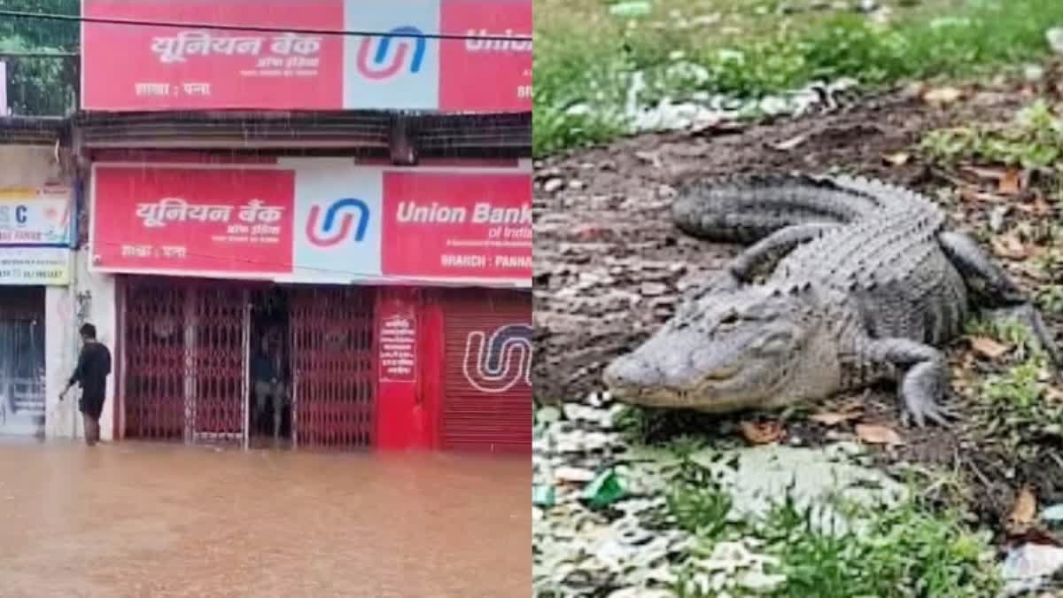 लगातार बारिश से बृहस्पति कुंड का झरना उफान पर, केन नदी के बढ़ते जलस्तर से तटवर्ती इलाकों में अलर्ट