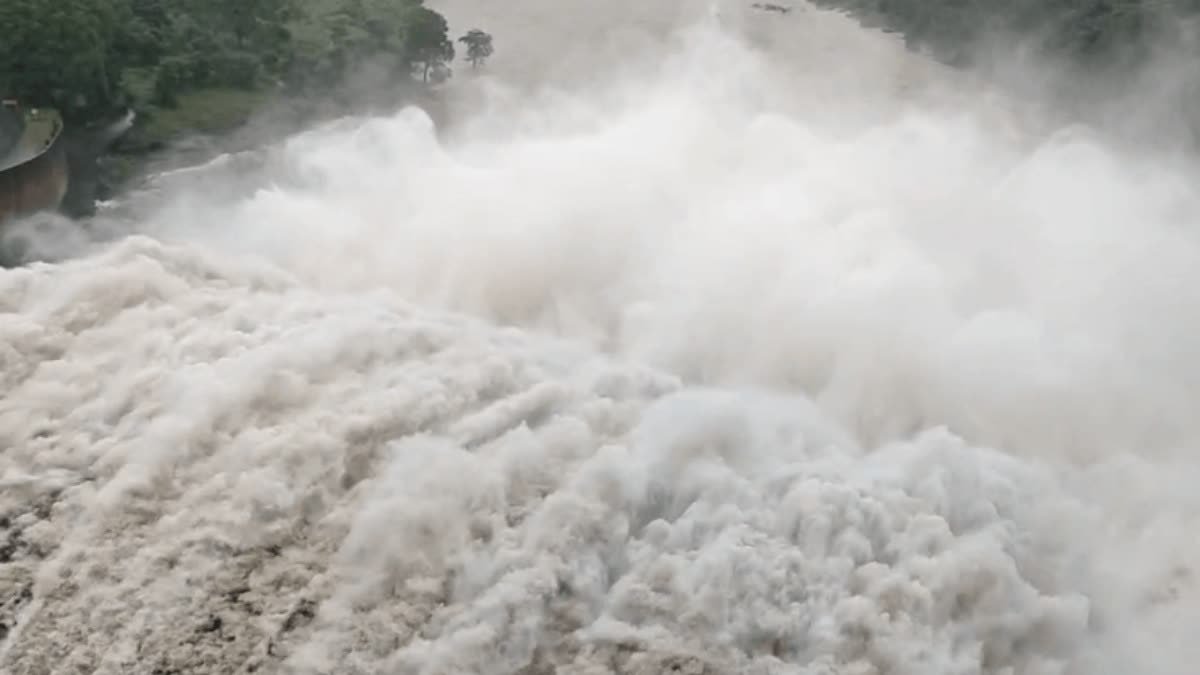लगातार बारिश से नदियां उफान पर, जोहिला डैम लबालब, प्रशासन ने जारी किया अलर्ट