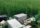तीन दिन में दूसरी बड़ी चोरी से दहला सतना, सोते हुए परिवार को बनाया निशाना—लाखों का माल पार