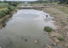 रतलाम में मंडराया भीषण सूखे का संकट; माही, चंबल, मलेनी नदियां सूखीं, रबी फसलों की सिंचाई पर संकट