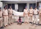 ऑपरेशन प्रहार के तहत बेड़िया पुलिस की बड़ी कार्रवाई, 12 किलो से अधिक गांजे के पौधे बरामद