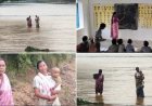 9 माह की मासूम को गोद में लेकर उफनती नदी पार करती हैं शिक्षिका; धौरपुर प्राथमिक शाला की दिल छू लेने वाली मिसाल