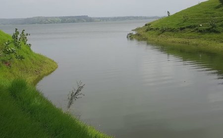 धोलावाड़ डैम के पानी पर रार! कलेक्टर ने रोका सिंचाई का पानी, सैलाना विधायक डोडियार ने दी आंदोलन की चेतावनी