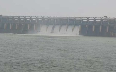 जैतपुर में उफनती नदी पार करते वक्त स्टंट का वीडियो वायरल, सोन नदी का भी बढ़ा जलस्तर