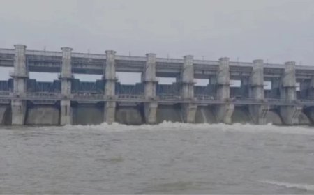 झमाझम बारिश से लबालब हुआ तिघरा बांध, फुल टैंक लेवल के करीब पहुंचा जलस्तर