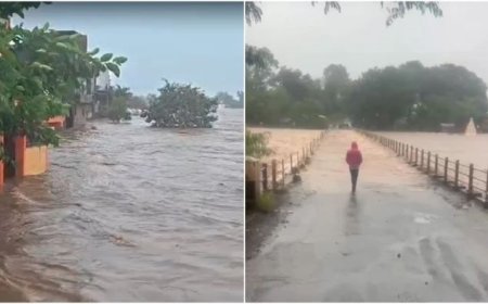 डिंडौरी में मूसलाधार बारिश से हाहाकार, नर्मदा उफान पर; जबलपुर-अमरकंटक मार्ग बंद