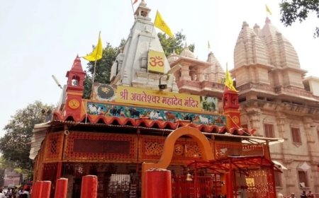 11 अक्टूबर को MLB कॉलेज में होगा मतदान; प्रचार पर सख्त पाबंदी, देखें अयोग्य प्रत्याशियों की सूची