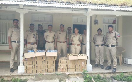सुपरसिटी कॉलोनी के मकान नंबर 28D पर छापा, मसाला और प्लेन शराब की पेटियां जब्त