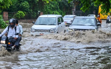 घाटीगांव में सबसे ज्यादा 81.4 मिमी बारिश दर्ज, नदियां उफान पर और पारा गिरा