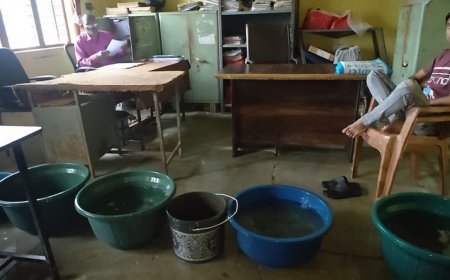 फाइलों की सुरक्षा के लिए तहसील कार्यालय में लगे प्लास्टिक के डिब्बे, डर के साए में काम कर रहे कर्मचारी