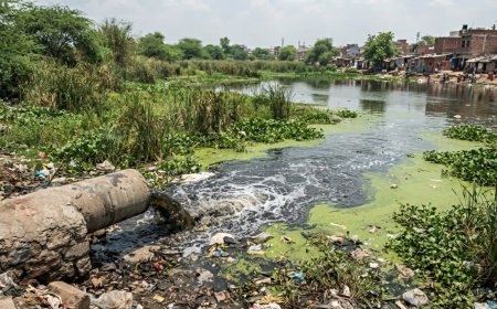 बड़ा और छोटा तालाब के 50 मीटर दायरे में अवैध निर्माण हटाने के आदेश, 3 महीने की तय हुई समयसीमा