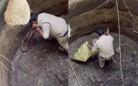 सेमरी हरचंद में सूखे कुएं में गिरा 10 फीट लंबा अजगर, पुलिस आरक्षक अतुल शर्मा ने जान जोखिम में डालकर किया रेस्क्यू