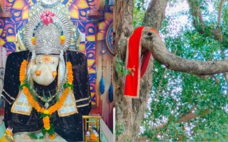 नरसिंहपुर के श्री गणेश देवस्थानम् का अद्भुत चमत्कार, बरगद के पेड़ पर प्राकृतिक रूप से उबरे बप्पा