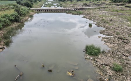 रतलाम में मंडराया भीषण सूखे का संकट; माही, चंबल, मलेनी नदियां सूखीं, रबी फसलों की सिंचाई पर संकट
