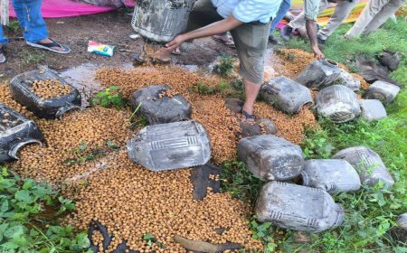 सागर शराब कांड के बाद छतरपुर पुलिस सख्त, यूपी बॉर्डर पर तैनाती बढ़ाए जाने के साथ 82 मुकदमे दर्ज