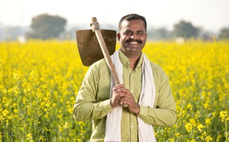 एमपी में धान, ज्वार और बाजरा की एमएसपी खरीदी के लिए पंजीयन शुरू; जानें अंतिम तिथि और प्रक्रिया